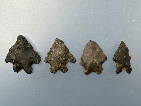 4 Chert Bifurcate Points, Longest is 1 1/4" Found in Hellertown, Northampton Co., PA,