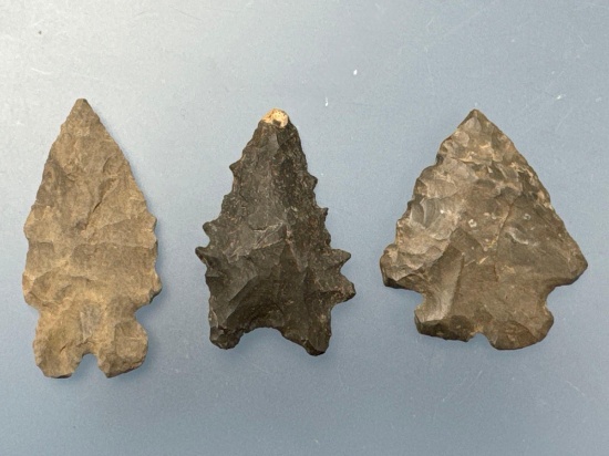 3 Well-Made Bifurcate Points, Longest 1 5/8", Found in Hellertown, Northampton Co., PA,