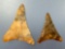 SUPERB Pair of Jasper Triangle Points, x1 Variegated 2