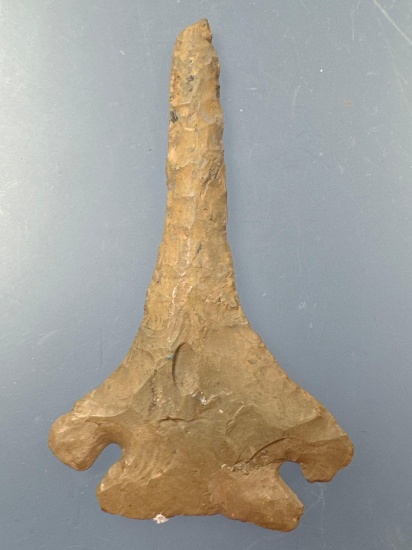 SUPERB 3 1/2" Decatur Drill, Tip Damage is Noted, Restoration to x1 Ear, Found in KY, Ex: Sexton