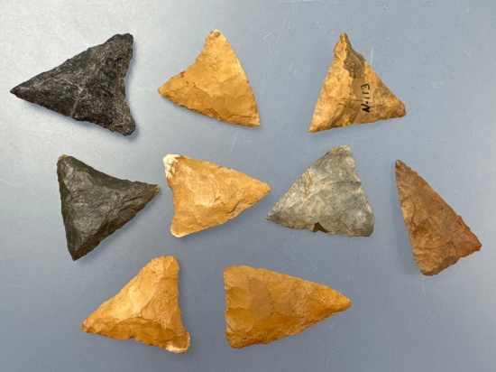9 Mainly Cobble Jasper Triangle Points, Longest 1 1/4", Found in New Jersey, Ex: Walt Podpora