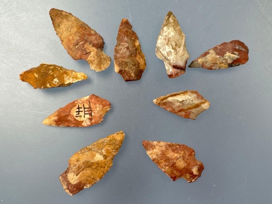 Lot of 9 Colorful Cobble Jasper Points, Longest 1 3/4", Found in New Jersey, Ex: Walt Podpora