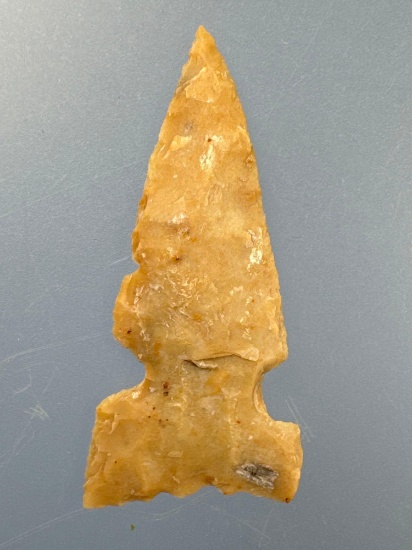 NICE 1 3/16" Gem Quality Reed Side Notch Bird Point, Found in Greenwood Co., Kansas,