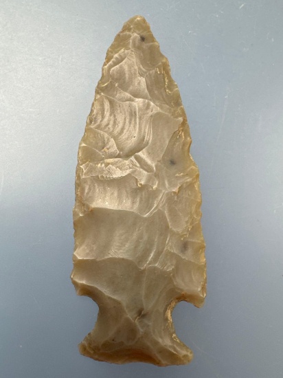 WOW 3 3/16" Flintridge Semi-Translucent Intrusive Mound/Jacks Reef Point, Found in Ohio