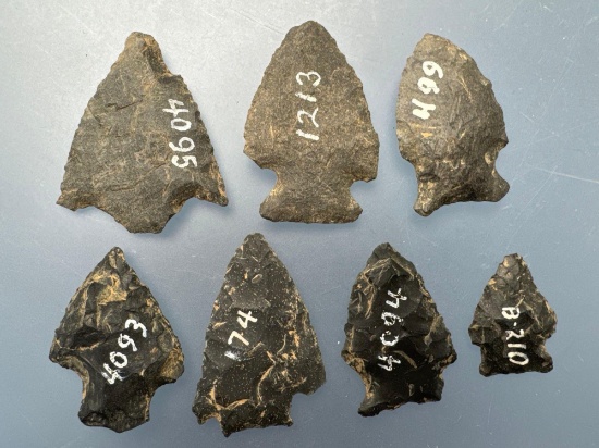 7 Smaller Chert Points, Longest is 1 5/8", Found in Berks Co., Pennsylvania, Ex: Ted Knieriem