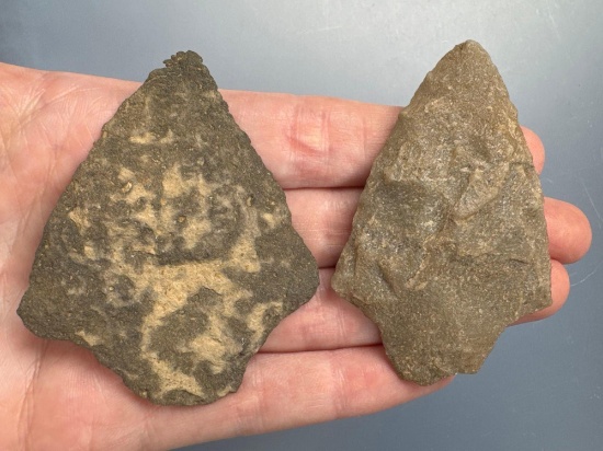 2 Lehigh Broads, Argillite, Quartzite, Longest is 2 1/2", Found in Berks Co., Pennsylvania,