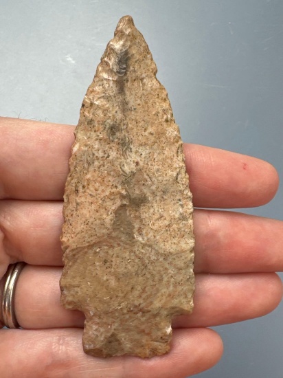 RARE 3 1/4" Scottsbluff Point, THIN, Superb Flaking, Found in Ponca City, Kay Co., Oklahoma Along