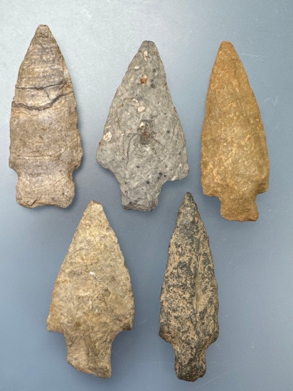 x5 Various Strait Stem Points, Longest is 2 3/4", Found along the Lower Susquehanna River