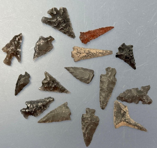 Lot of 15 Obsidian Points, Longest is 1 1/16", Found in Harney Co., Oregon, Ex: Ted Knieriem