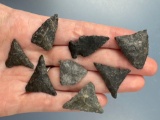 8 Triangle Points, Chert, Found in Berwick, Pennsylvania Area, Ex: Ted Knieriem