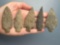 5 Archaic Stem Points, Nice, Longest is 2 7/8
