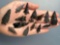 15 Larger Obsidian Points, Longest is 1 3/4