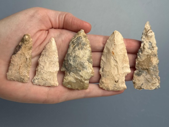 Eccentric, Bi-Point, Drills, Lanceolate, Found in Missouri, Longest is 3 1/2", Ex: Gerau Collection