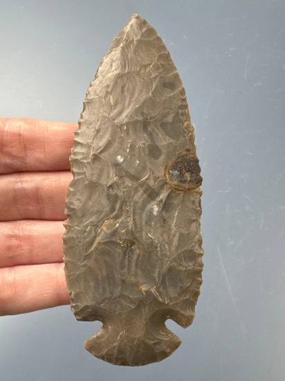 4 5/16" Hornstone Dovetail Point, Dickey COA-Rechipped Tip--Found in Illinois.