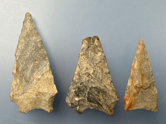 3 Hardaway/Palmer Points, Longest is 2 1/16", Found in Virginia