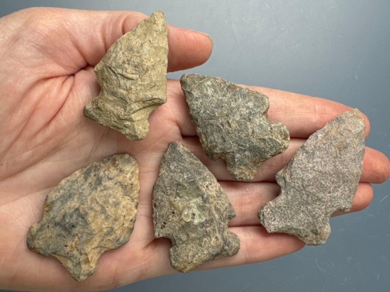 x4 Adams Co., Bifurcate and Related Points, Rhyolite, Found by J. Fissel in Orrtanna, Pennsylvania
