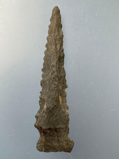 2 3/16" Serrated Side Notch Point, Found in North Carolina
