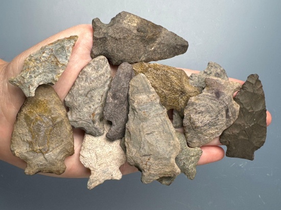 12 Various Susquehanna Broadpoints, Mainly Rhyolite, Longest is 2 5/8", Found along the Lower