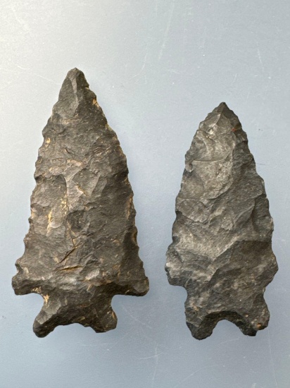 WOW Pair of Coshocton Chert Bifurcate Points, Found in Ohio, Longest 1 7/8" Ex: Stanley Brzoski