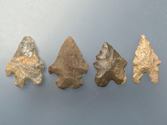 4 Bifurcate Points, Longest is 1 1/4", Found in Pennsylvania, EX: T. Madeira