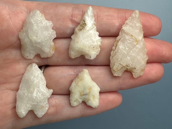 5 Nice Quartz Bifurcates, Longest is 1 3/8", Found in Pennsylvania, Ex: Rich Johnston