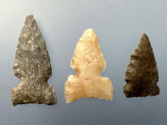 3 Side Notch Birdpoints, Longest is 15/16", Found in Greenwood Co., Kansas by Terry Miller