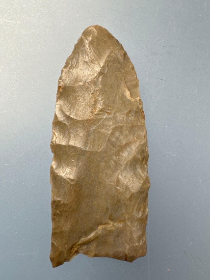 1 13/16" Fluted Paleo Clovis, Found in Tennessee, Minor Ding to 1 Ear, Fluted, Ground Base