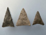 Fine Triangle Points x2 Chert, x1 Chalcedony, Longest 1 1/4