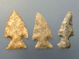 3 Corner Notch Birdpoints, Longest is 7/8