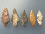 5 Stem Points, Longest is 2 1/8