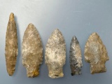 5 Fine Arrowheads, Nice Examples, Longest is 3 1/16