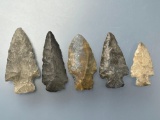 5 VERY NICE Stemmed Arrowheads, Point, Longest is 3