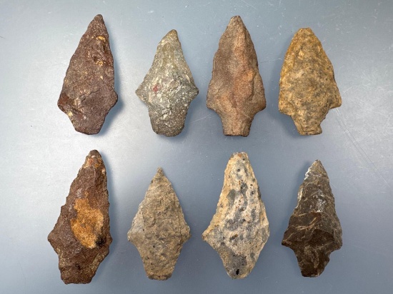 8 Fine Morrow Mountain Points, Found in Pennsylvania and Maryland, Great Examples, Longest is 3"
