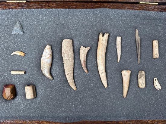 RARE Rock Shelter Assemblage of Bone and Stone Tools- Found in Dauphin Co., Pennsylvania