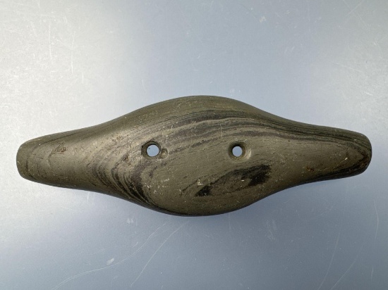 SUPERB 3 7/8" EX: ROOT Expanded Center Gorget, Found in Erie Co., Pennsylvania by Jeff Natali,