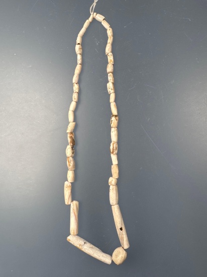 RARE 20" Strand of Shell Beads, Barrel and Tubular Types, F0und in Wythe Co., Virginia