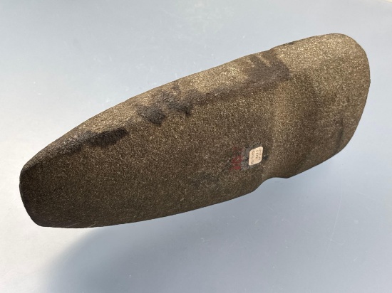 HIGHLIGHT MASSIVE 12