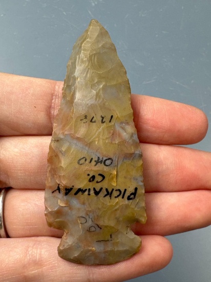 Nice 2 7/8" Colorful Flintridge Dovetail Point, Found in Picatinny Co., Ohio, Bevel Noted