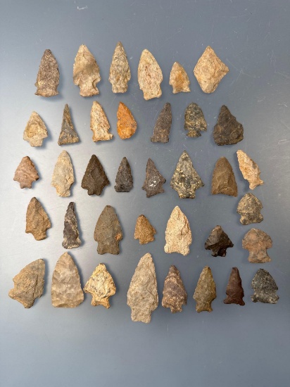 37 Various Arrowheads, Found in Ortanna, Pennsylvania, Rhyolite, Chert, Jasper, Longest is 2 1/2"