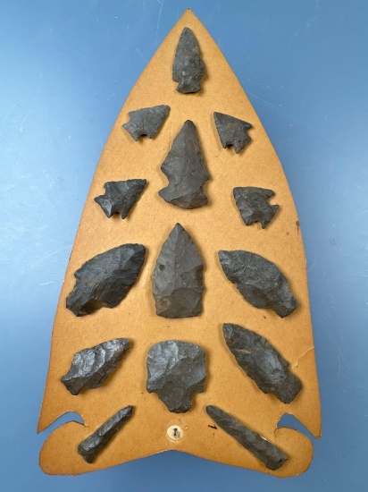 Plaque of 14 Fine Esopus, Onondaga Chert Arrowheads, Longest is 2", Found in New York, Ex: Galley