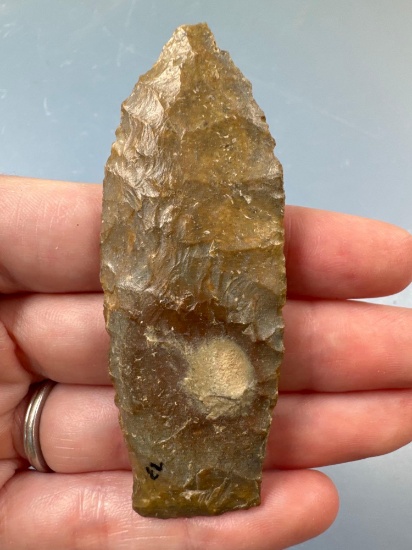 FINE 3 1/16" Paleo Lanceolate Point, Found in Kay Co.,Arkansas, River Polished, Dickey COA