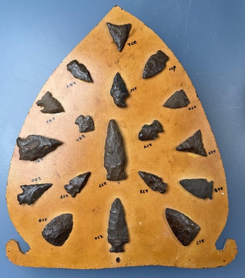18 Fine Esopus and Onondaga Chert Points, Longest is 2 5/8" Found in New York, Ex: Galley Reed of