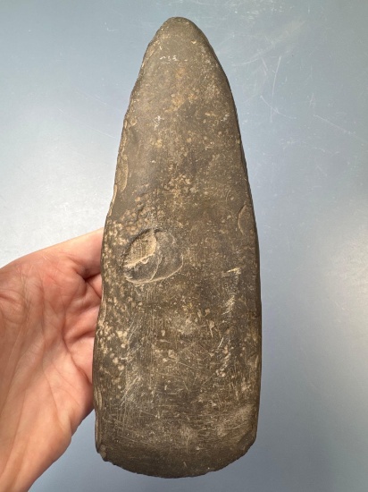 8 1/2" Celt, Polished Bit, Found in Pennsylvania, Ex: Bob Bausher