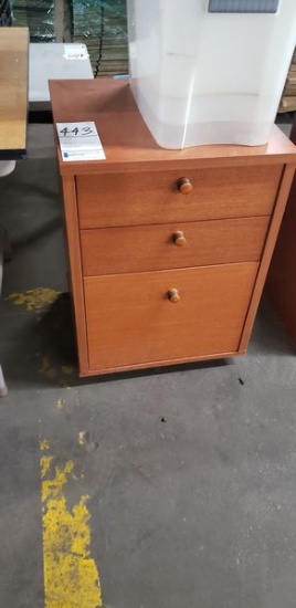 FILE / STORAGE CABINET