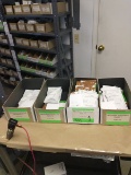 4 BINS OF ASSORTED BEGONIA COCKTAIL SEEDS