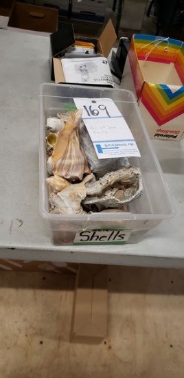 BIN OF SEA SHELLS