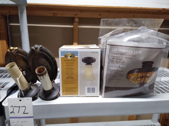 LOT OF ASSORTED LIGHTING