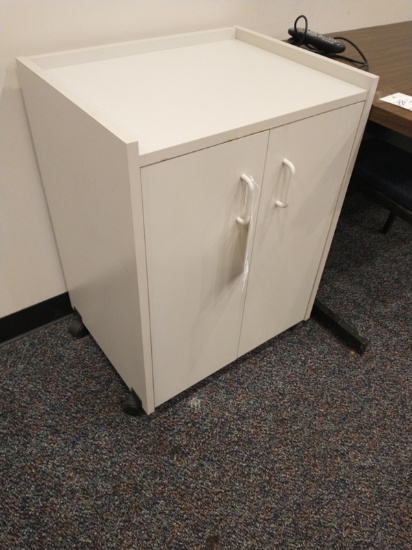 WHITE 2 DOOR CABINET