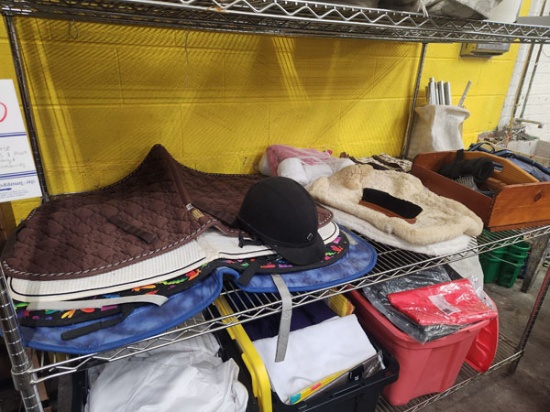 LOT OF HORSE SADDLE PADS WITH ASST HORSE BACK RIDING AND GROOMING ACCESSORIES