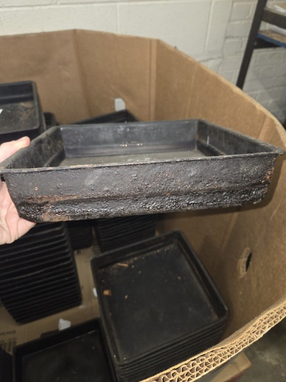 50 SQAURE 10" PANS
